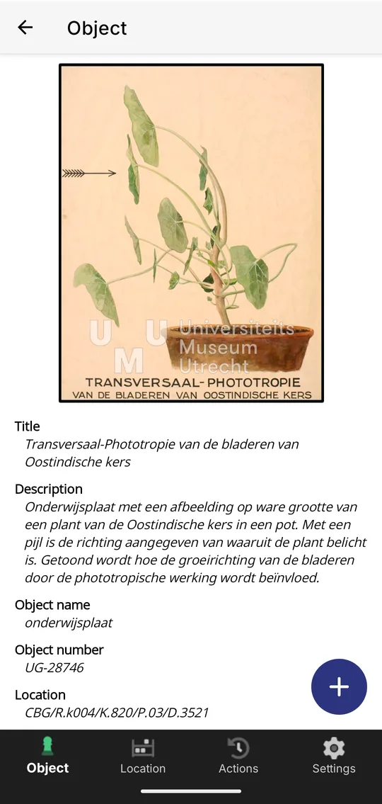 Collection Mobile, object details